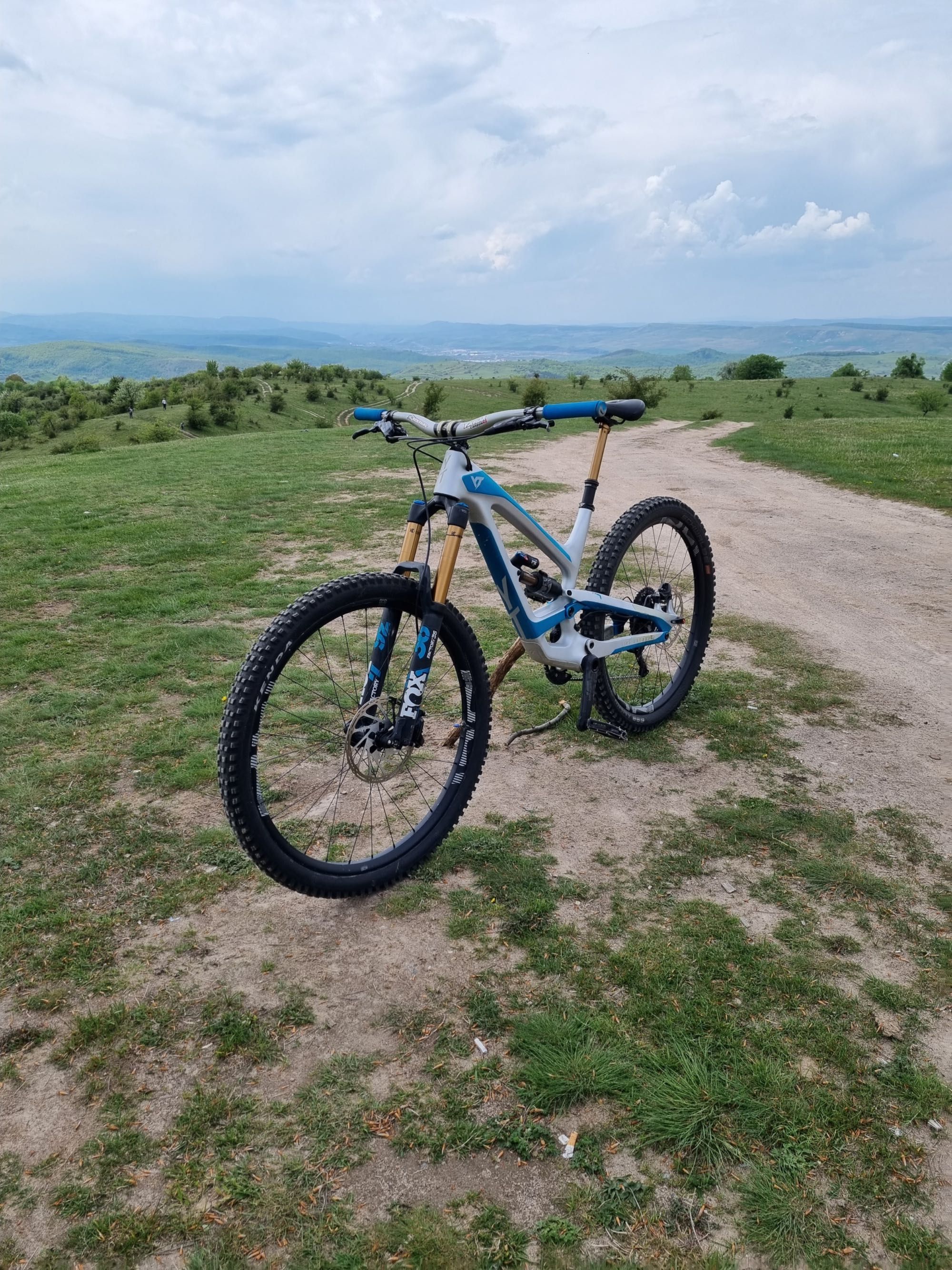 Bicicleta Enduro YT Capra 29 CF Pro Race L