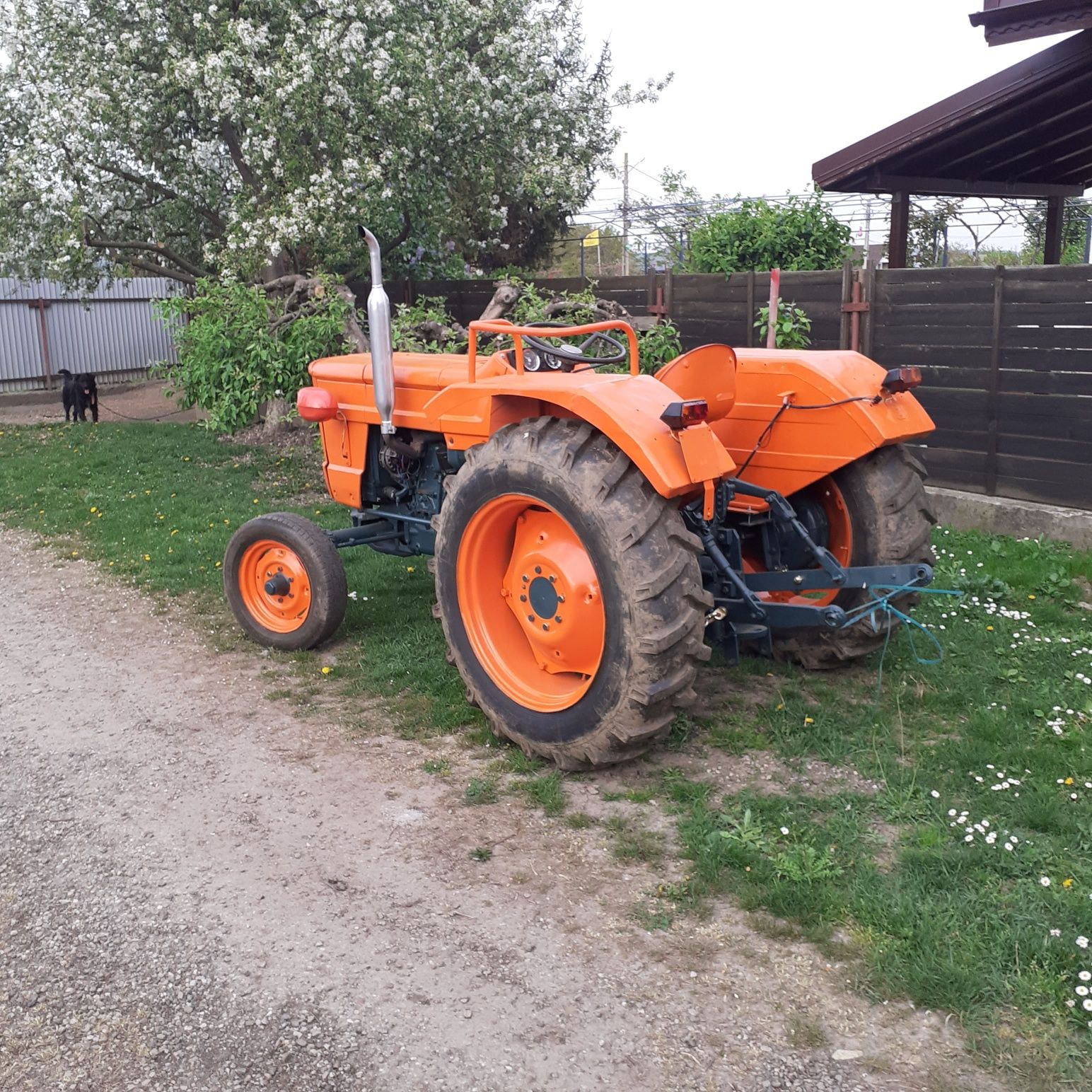 Tractor 445 Fiat