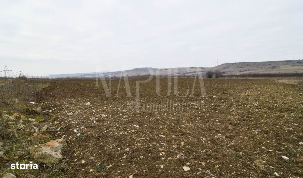 Teren intravilan industrial de vanzare in Iris, Cluj