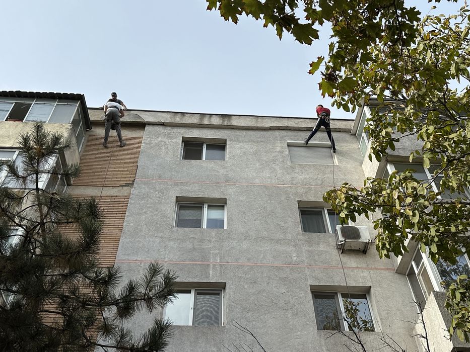 Toaletari/Taieri copaci interventii NON-STOP