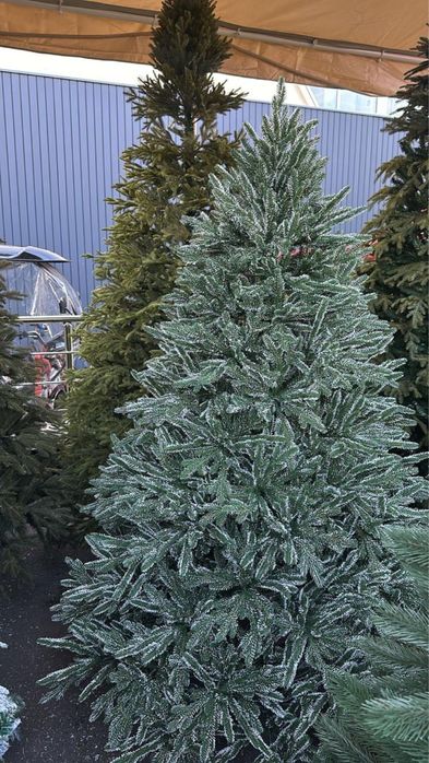 Новоголние ёлки продаю
