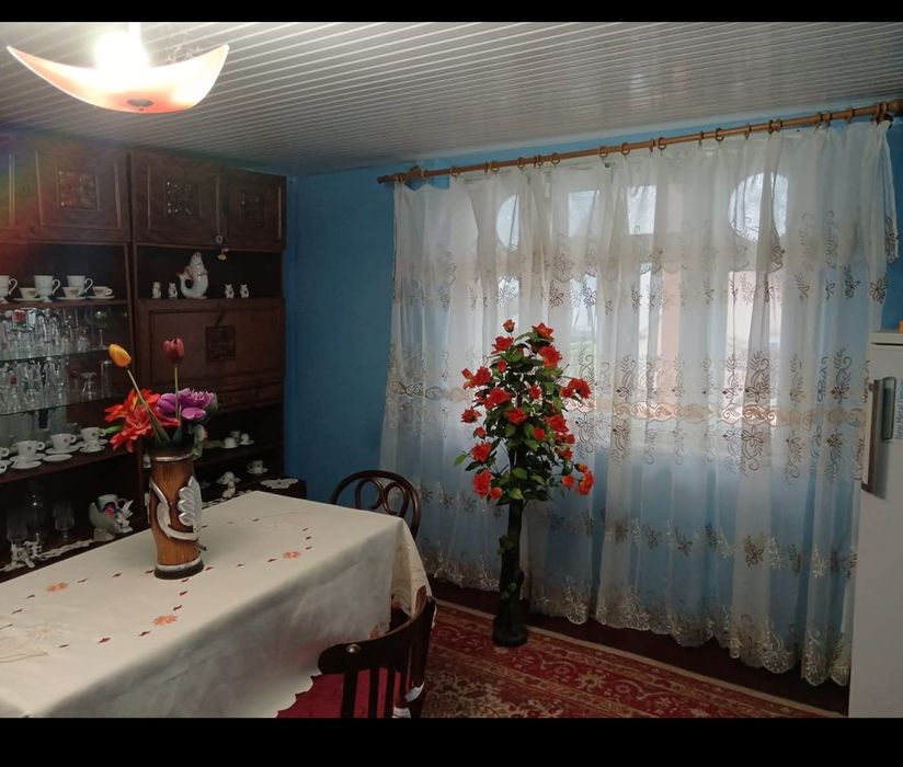 De vânzare casă independentă cu teren + vie si solar