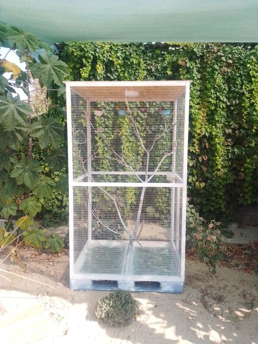 Кафас сотилади супер скидка