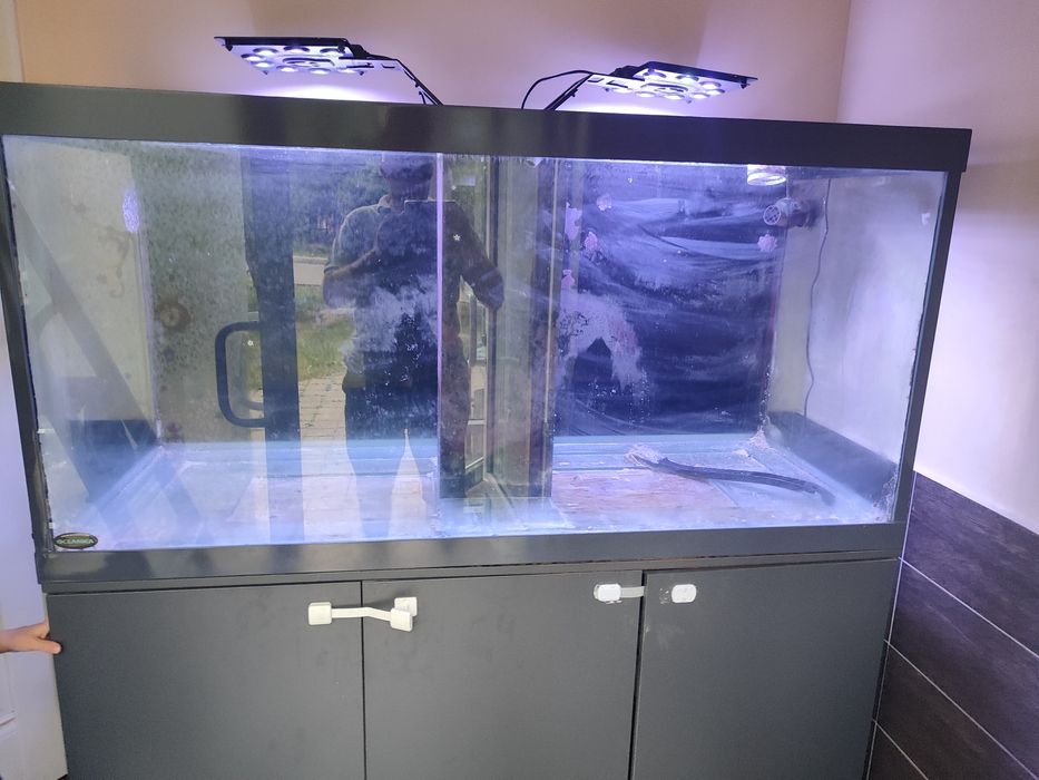 Морской аквариум