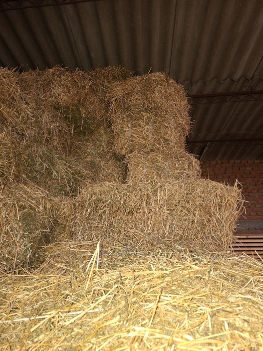 Vind baloti de lucernă .