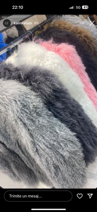 Mongolian Fur Blana