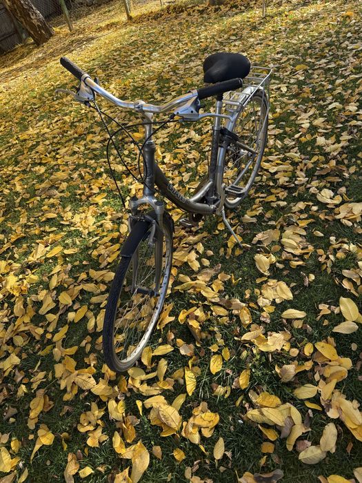 Ретро giant размер L