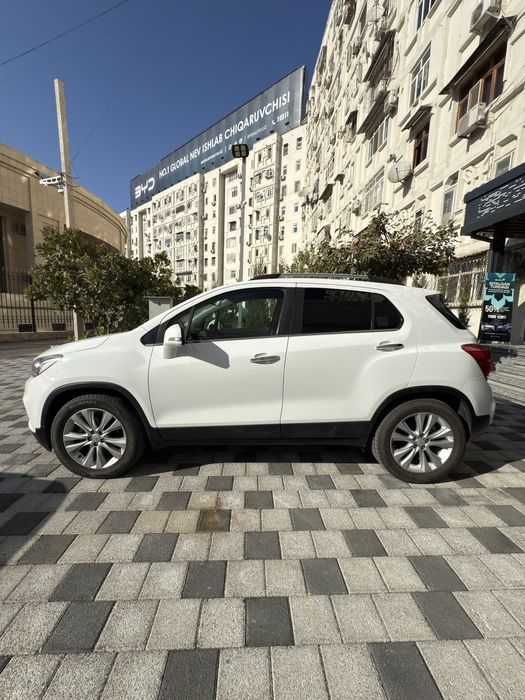 Tracker 1 Premier 2019