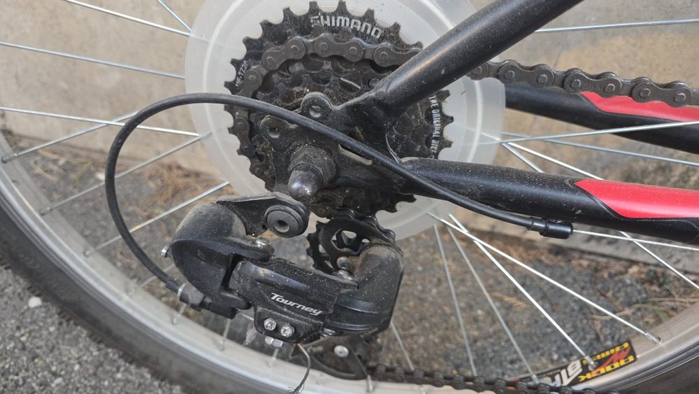 Biciclete de familie