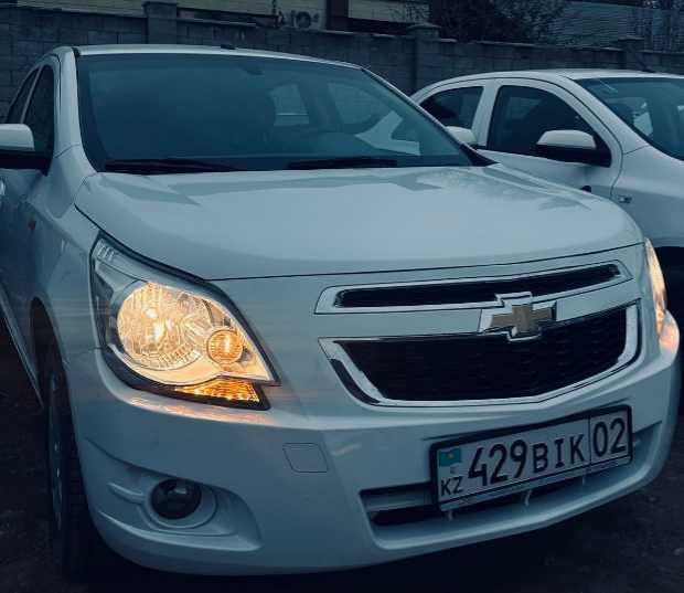 кобальты под выкуп 12.000