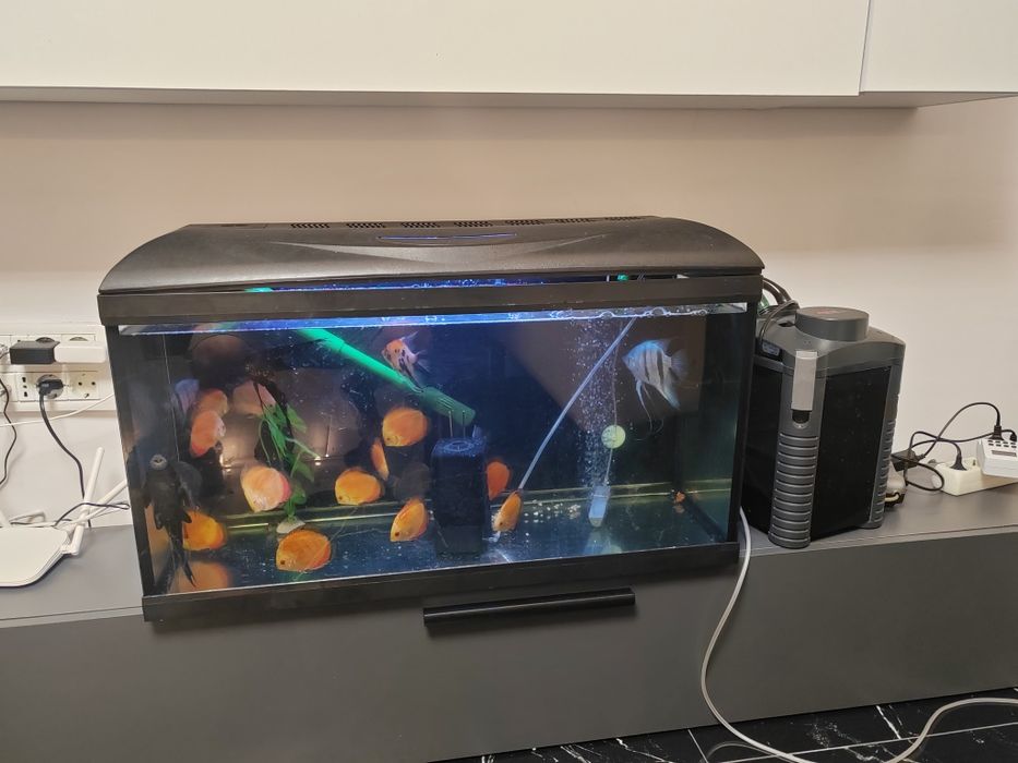 Vând acvariu 110 litrii wave și filtru extern (fara pesti)