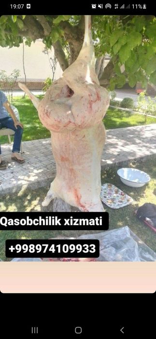 Qassoblik xizmati