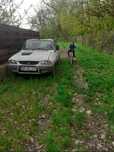 Dacia Papuc an 2006