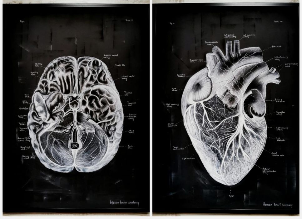 Tablou Anatomia Inimii/Creierului