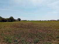 Teren 20.000 mp,deschidere 70ml la DN1 ideal investitii industriale