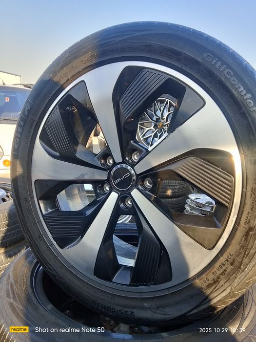 R19 byd Champion diska balon