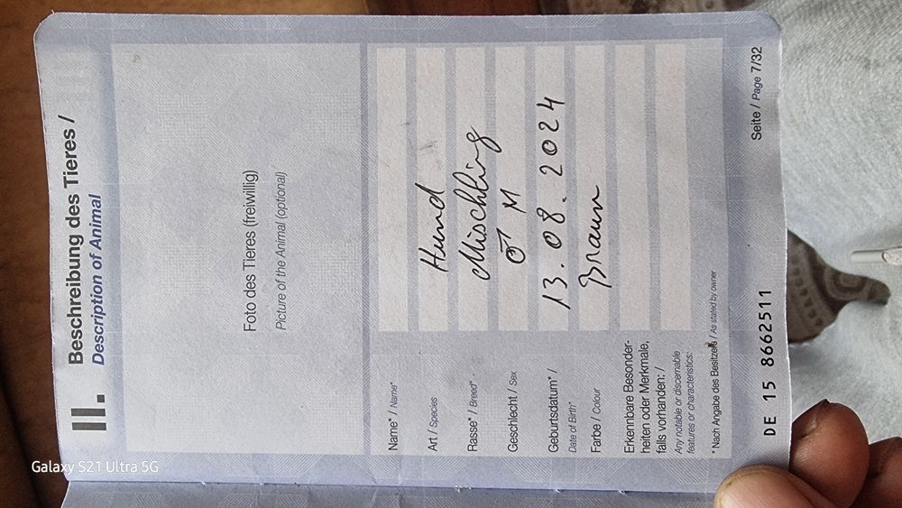 Câine ciobănesc german