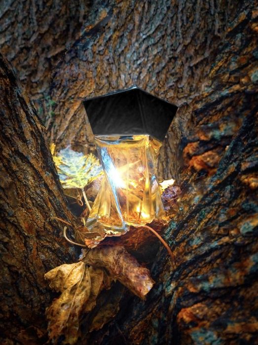 Масляные духи на разлив а также спиртовые: роскошь, доступная к