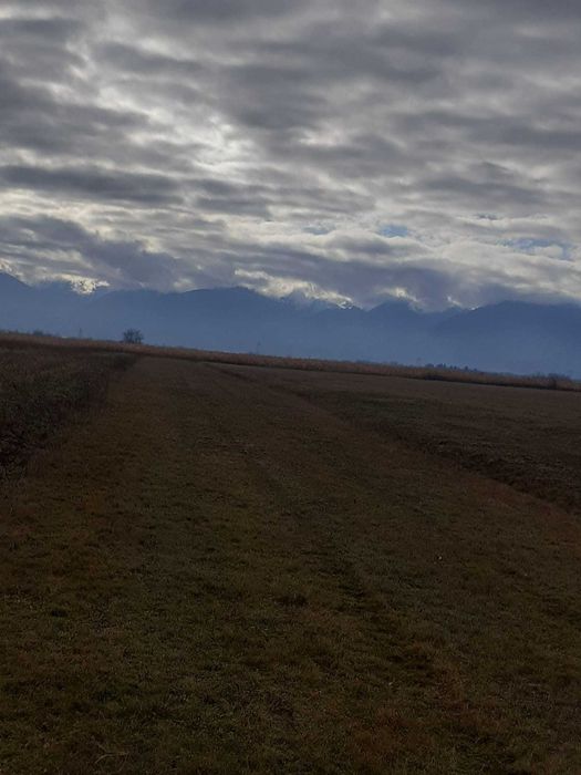 Teren agricol jud Brasov Zona Voila Voivodeni