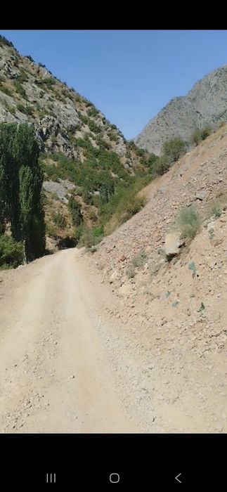 Tabiy toza asal shaxrisabz koʻl qishlogʻi