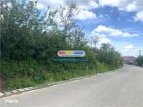 Vanzare teren intravilan Baicoi zona Tintea