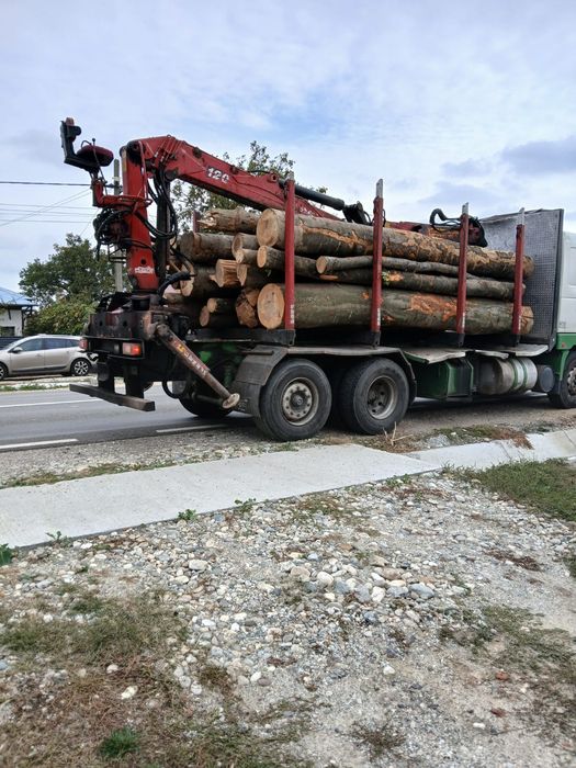 Lemn de foc bustean fag