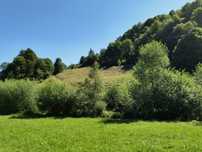 Teren Poiana Marului Brasov