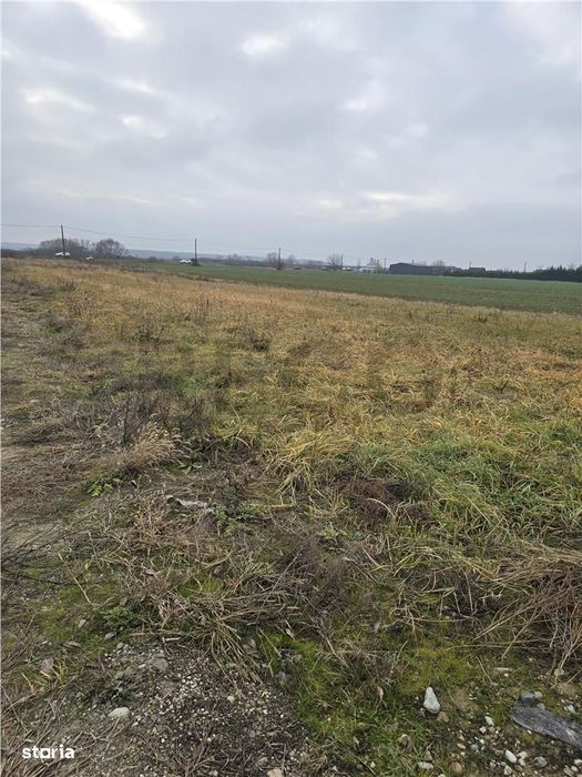 RECO Teren pentru loc de casa cu PUZ Osorhei-Fughiu