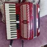 Vind Acordeon parot