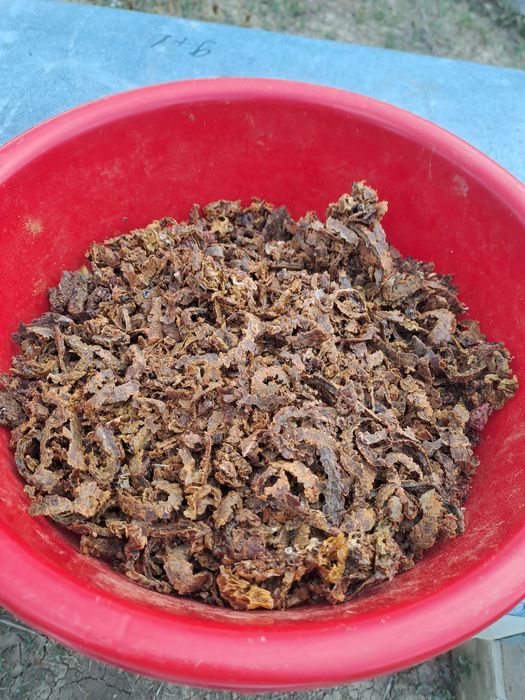 Propolis producție 2025