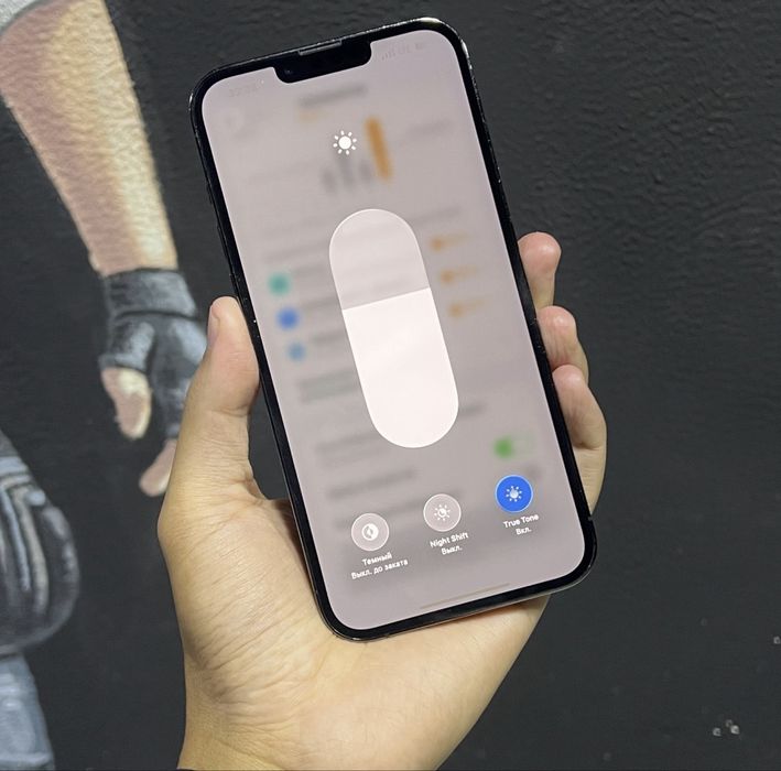 Iphone 13 pro max ideal