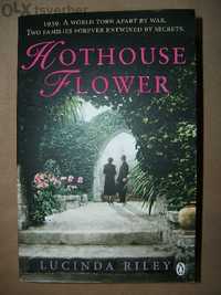 "hothouse Flower" by Lucinda Reily