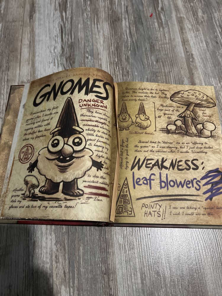 Gravity falls книга