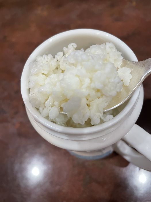 Продам молочный гриб обращаться на вацап по номеру