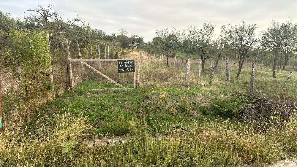Tern intravilan ,ideal cabana situat in Lugasu de Jos