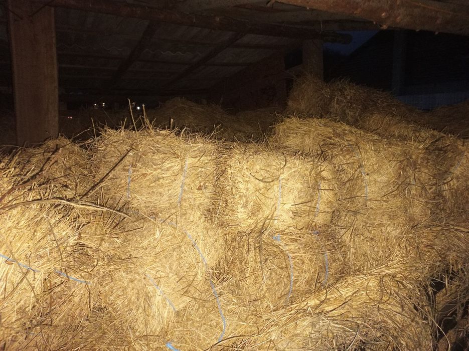 Baloți lucerna și trifoi