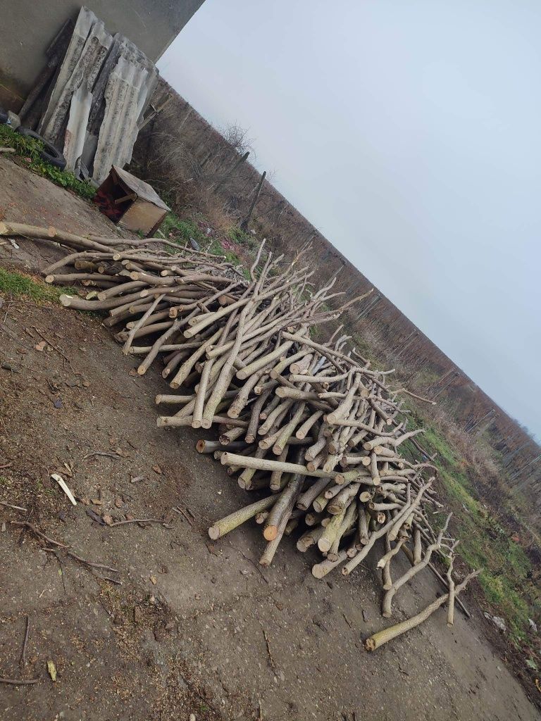 Vând lemne de foc 300 de lei m3