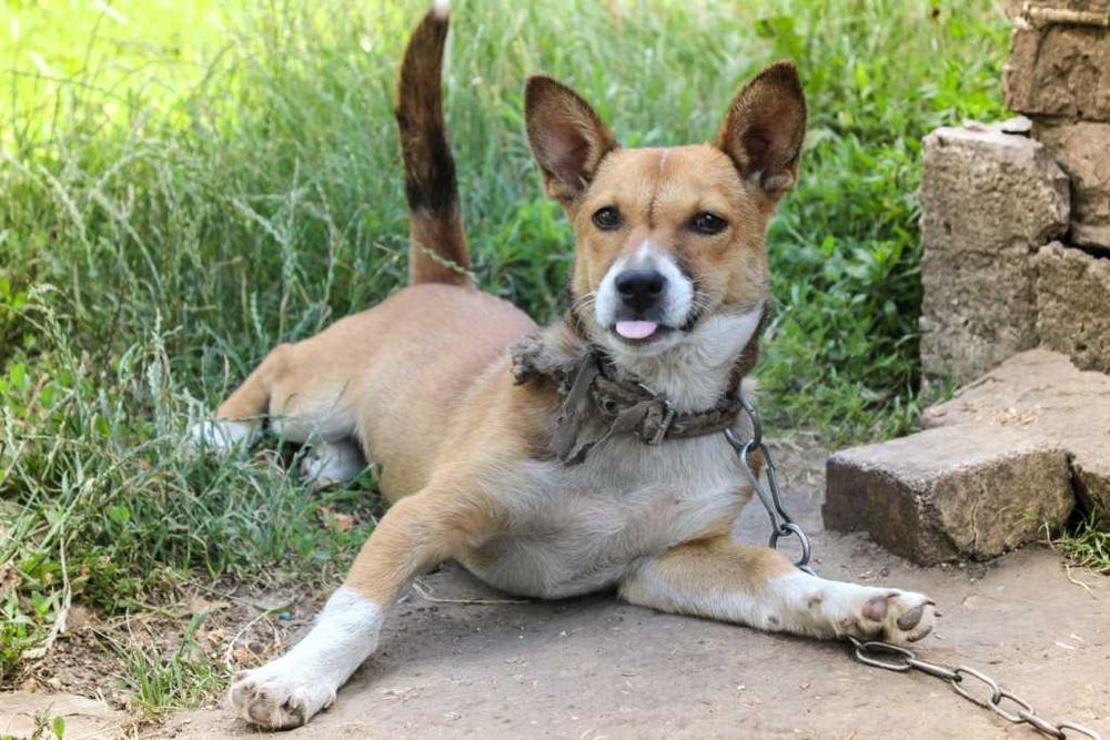 Безплатна фотосесия във Варна, квартал Аспарухово