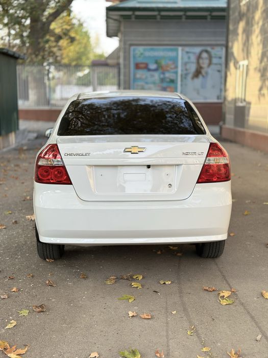 Nexia 3 kraska tozza