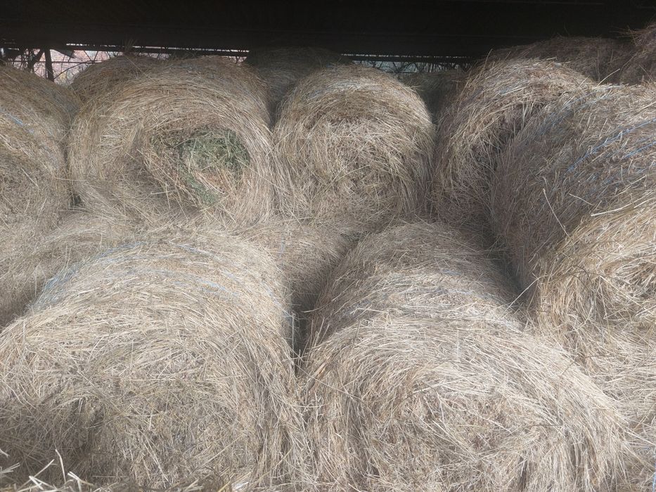 Vând lucernă  casă 2 și 3