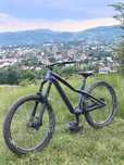 Bicicleta Dartmoor Hornet Pro