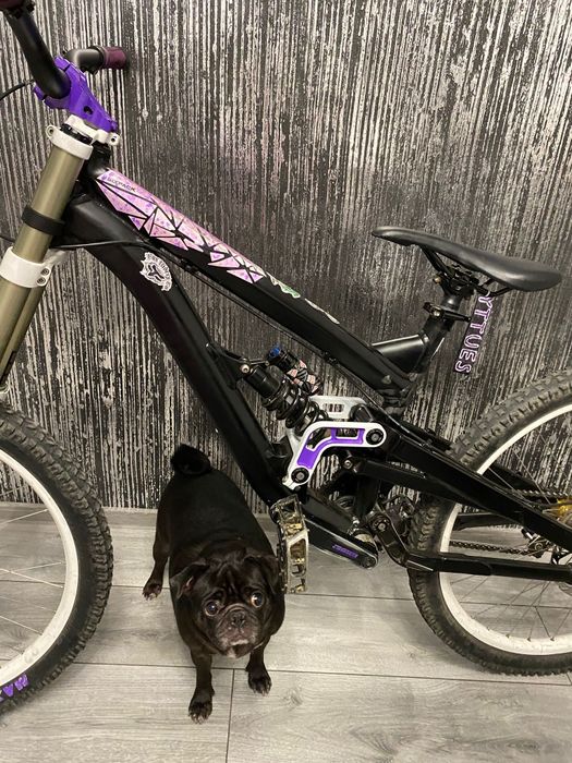 Yt Industries Tues