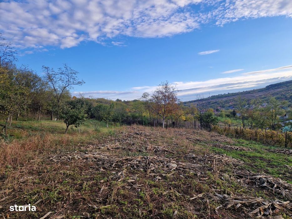 Teren in suprafata de 1308 mp in com. Rediu