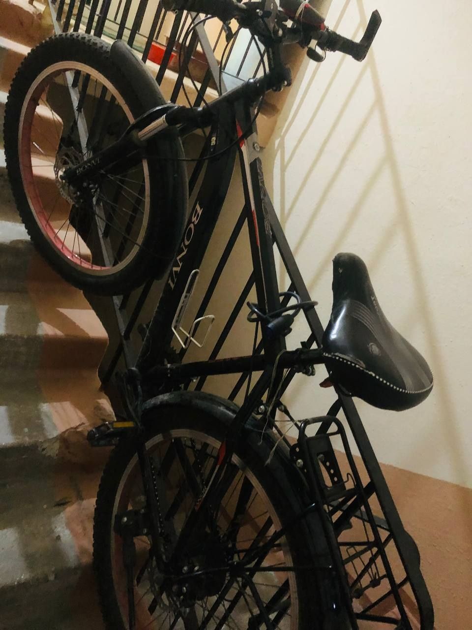 Velosifed skorisli, kotta balonli 28