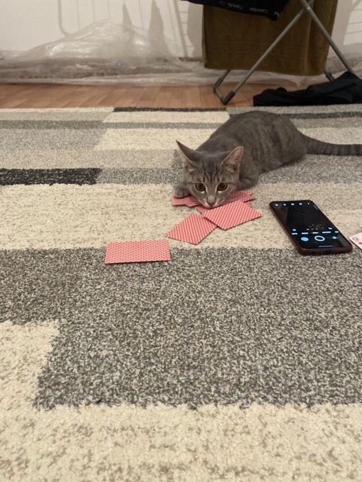 Отдым в добрые руки