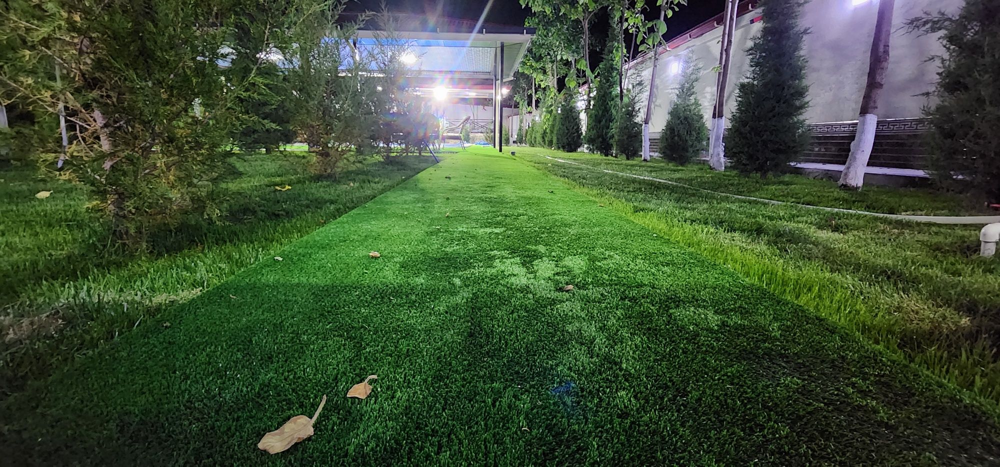 Dacha arenda full