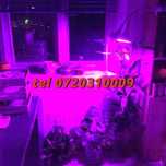 Nou Bec E27 Led Accelerare Plante 126 Leduri Spectrum 15w