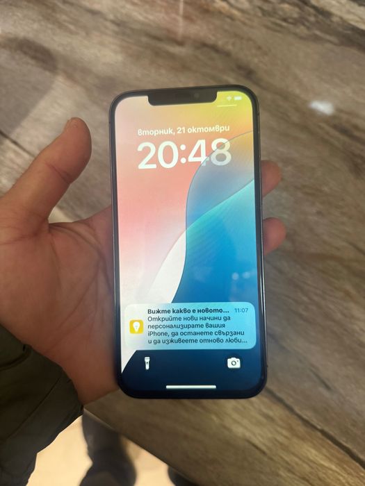 iPhone 12 Pro Max 256