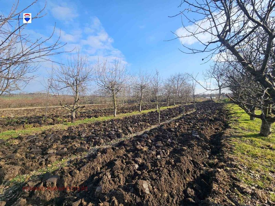 Продава се Парцел в с. Борисово, Област Русе - 1969 кв.м за 7 €/кв.м - Снимка #1