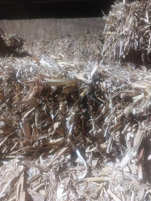 Baloti coceni cu mohor